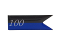 100 Batalion Łączności.png