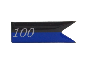 Proporczyk na beret 100 Batalion Łączności
